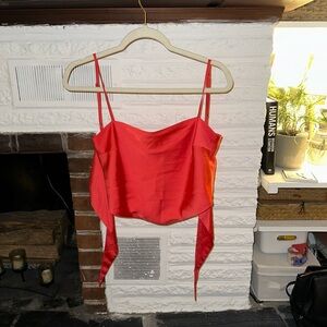 Aritzia Sunday Best Elektra Satin Camisole Red